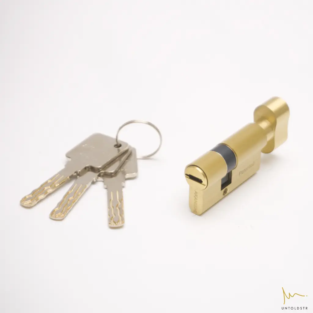 Hidden Door with TT - Security g03.webp