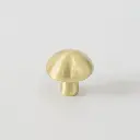 CHAMPIGNON 3.webp