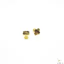 Clover Jupiter 1.webp