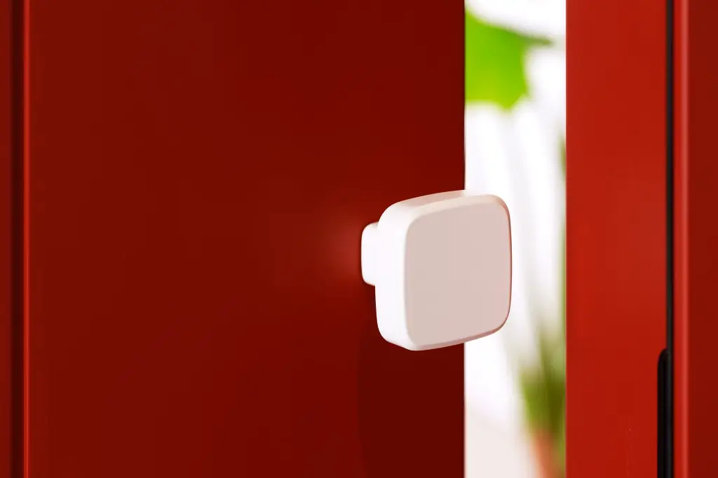 Red door - Cham knob Monviso white finish detail.webp
