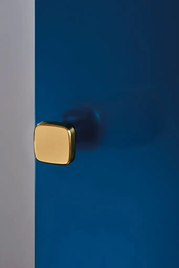 Nuda knob mod. Cham fin. polished brass.webp