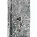 RD01G03c_06460d0e-e888-4cae-a747-0cbc99973cbc (1).webp