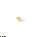 Color1Size3_watermarked.webp