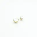 Howlite 2.webp