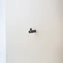 Brass Wallhook b.webp