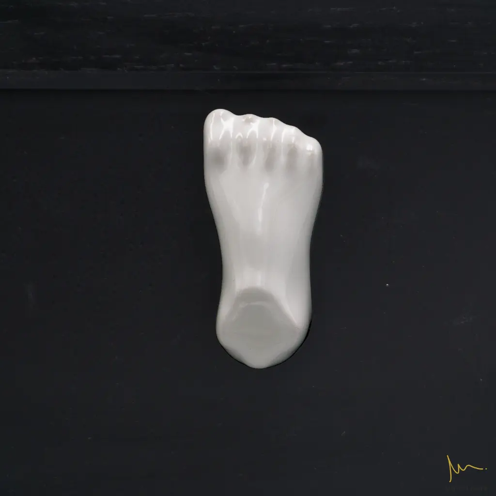 FOOT.webp