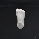 FOOT.webp