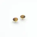 TIGER EYE