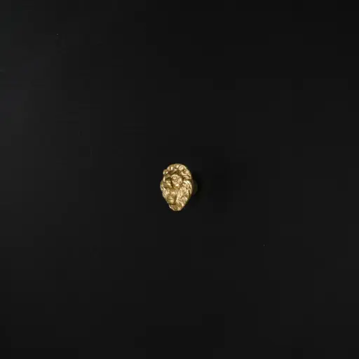 [03QS HK0332] LION