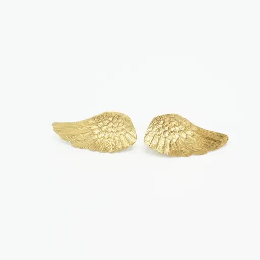 WINGS